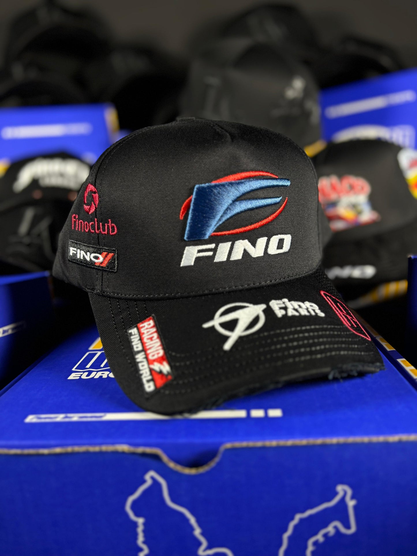 GALLO FINO X EUROPA "FRANCIA"