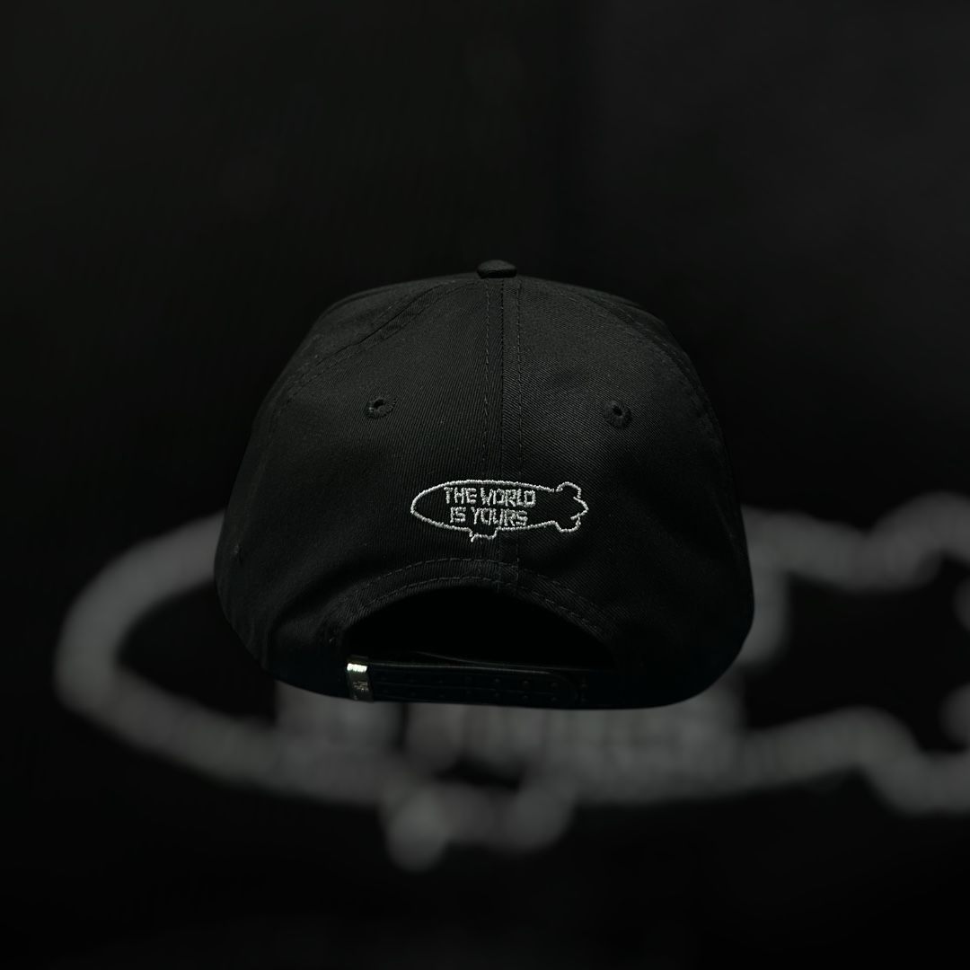 MONEY HATS “CT THE WORLD IS YOURS”