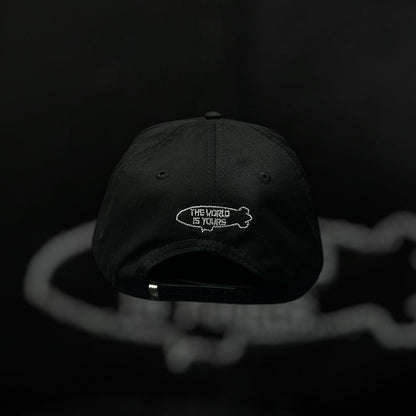 MONEY HATS “CT THE WORLD IS YOURS”